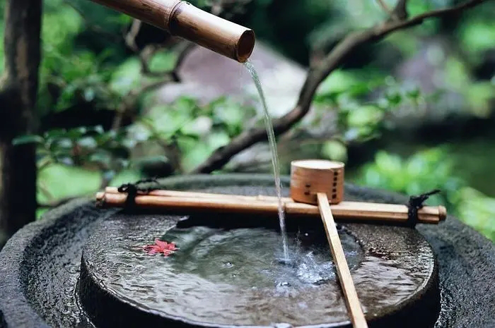 虹景木陽臺-驚鹿，蹲踞